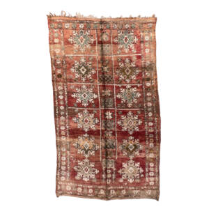 Handknotted 6x10 Brown with Saga Green Traditional Floral Berber Rug